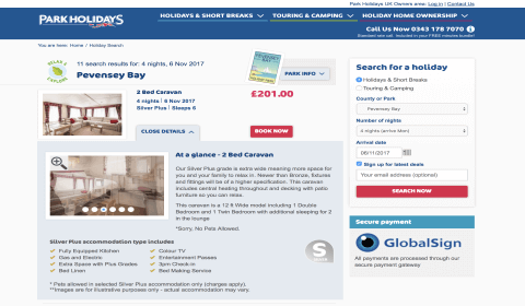 Taking Your Holiday Park Online: Why Your Website Matters